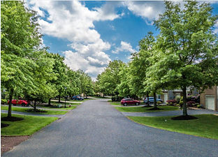 Green trees on both sides line a residential street with a cloudy blue sky overhead.