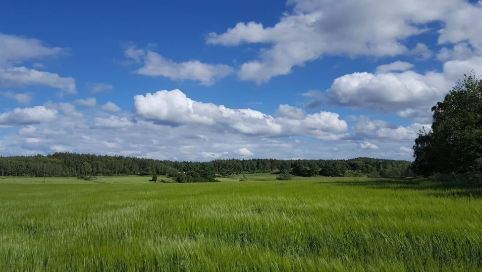 Mmaamma bakgrund2.jpeg