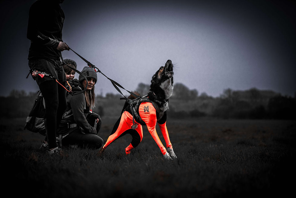 Fred Pre CaniX Race, Trialing Nonstop Dogwear Suits