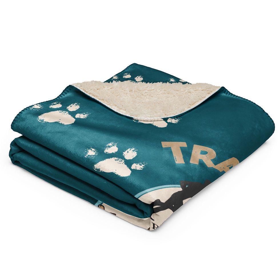 Thumbnail: Sherpa blanket