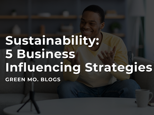 Sustainability: 5 Business Influencing Policy Strategies