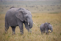 2022 Trip To Tanzania Africa