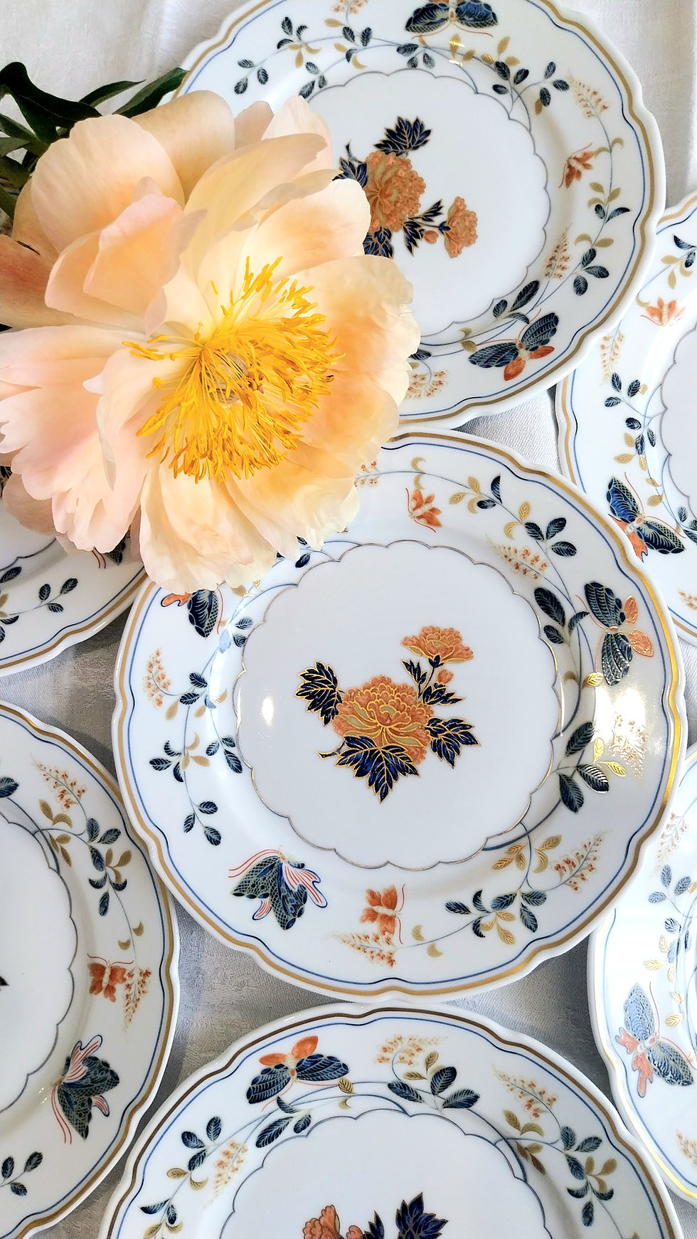 Miniature : 8 Assiettes à entremet en porcelaine, modèle "Vol de nuit", Raynaud - Limoges 