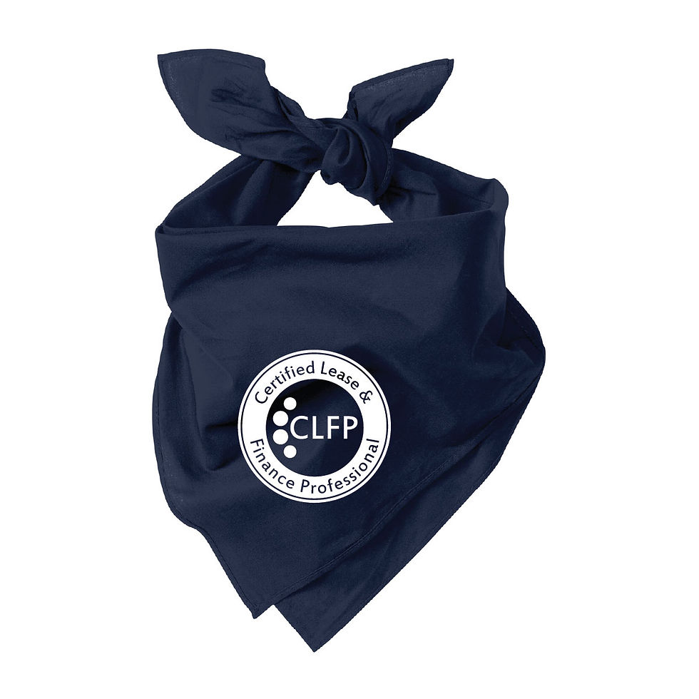 Thumbnail: Port Authority® Large Bandana