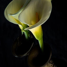 PHOT24296