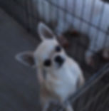 image0 (6).jpeg