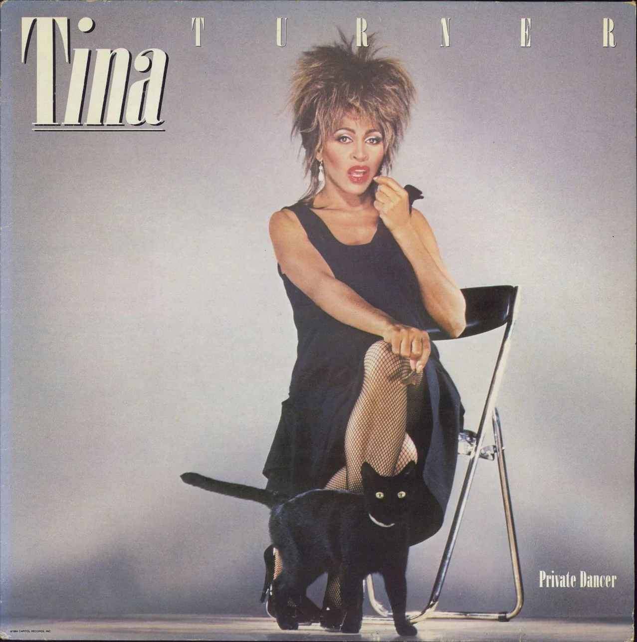 tina-turner-private-dancer.webp