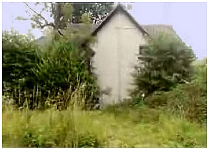 genetic wood cottage