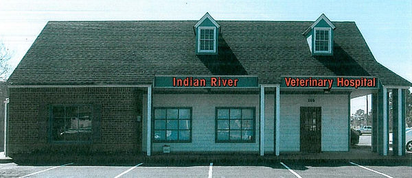 IRVH.jpg
