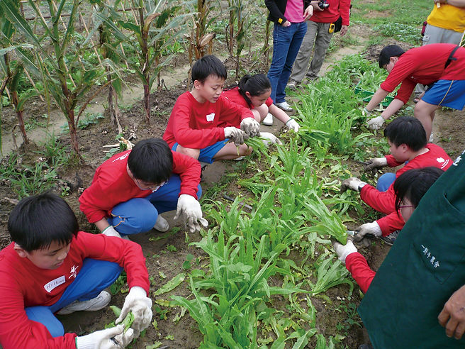 田園種植.JPG