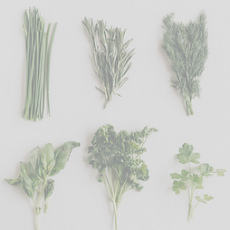 herbs for cold and flu (2).png