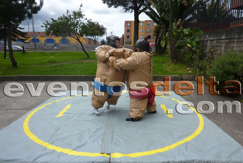 Sumos Inflables Delta