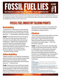FFLies1_edited_edited.jpg