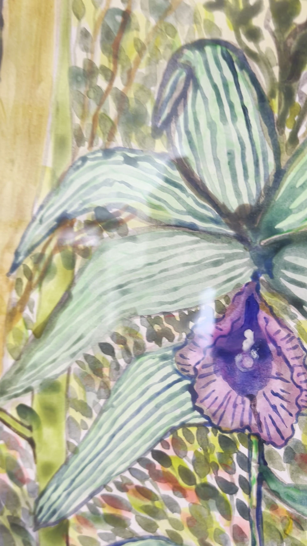 Miniatura: La selva vive (Guaviare) 4