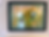 Thumbnail: La selva vive (Guaviare) 4