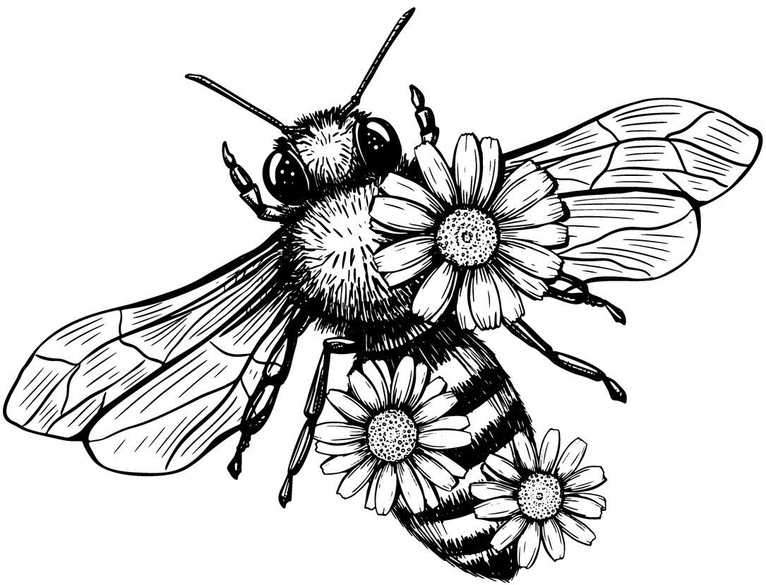 Bee 5