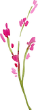 cm195 (18).png