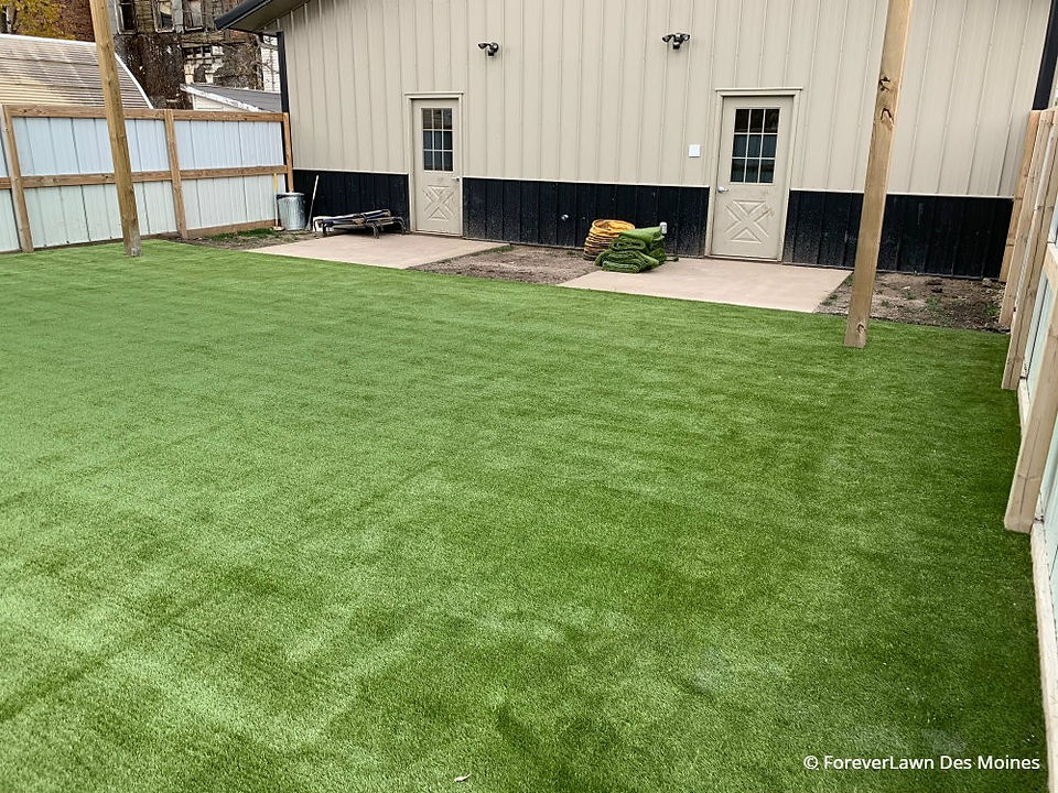 K9Grass Classic