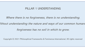 STS project diary 8 – Forgiveness – Pillar 1 – Understanding