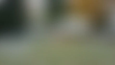 Feminenza Program Helps PHS Students Tackle Fears