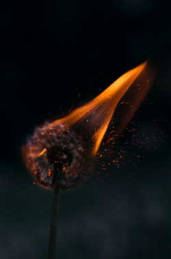 Intermediate Dark Magic and Spirit Use (6w)