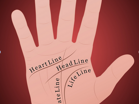 Palmistry - The Life Line