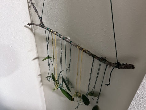 Mystic Grimoire: Manifestation: The New Moon Good Fortune Magnifyer