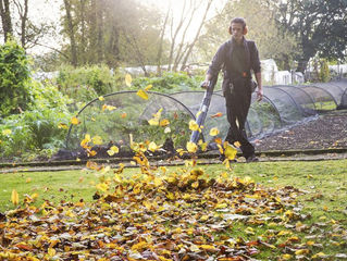 California to Ban Gas-Powered Leaf Blowers and Lawn Mowers