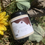 Thumbnail: Doux Java Body Frosting 
