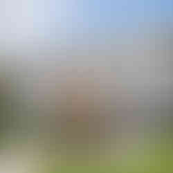 Vue de l'EHPAD Korian Castel Voltaire à 92320 CHATILLON