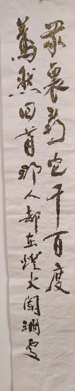 PXL_20241103_042630019