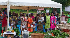 Acceuil-Environnement et dvpt durable-3.jpg