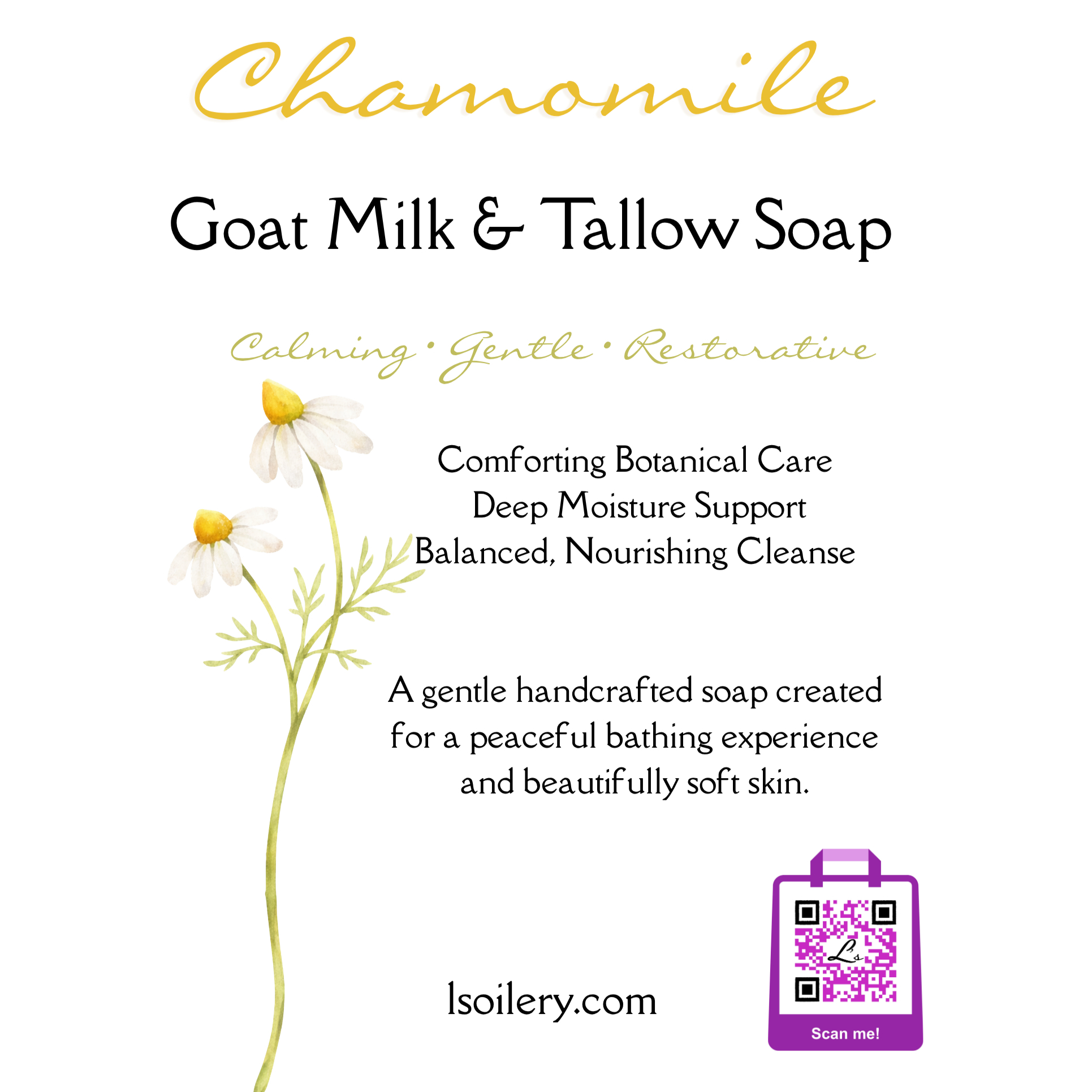 Chamomile