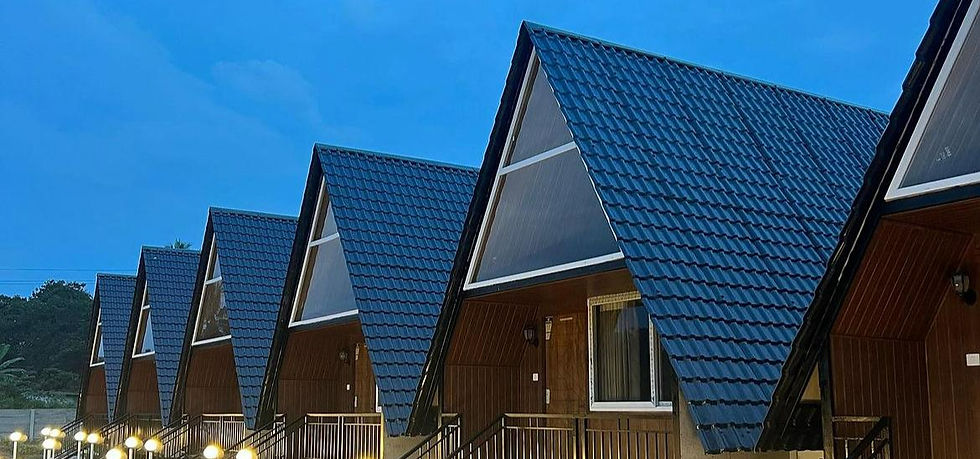 WhatsApp Image 2024-08-16 at 20.37_edited.jpg