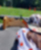 20220614_145238.jpg