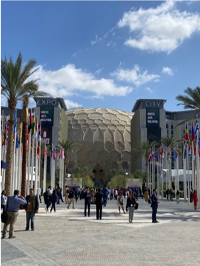 Reflections and Opinions from COP28