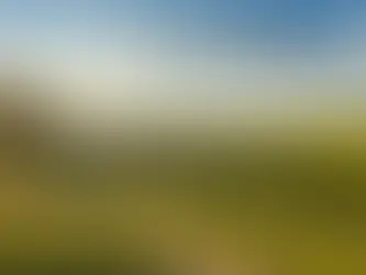 Buy Land No Credit Check Texas: A Step-by-Step Guide