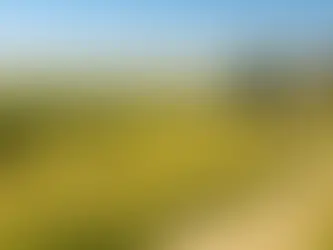 Land with No Restrictions: A Complete Guide