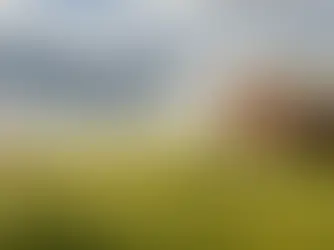 How to Find "Abandoned" Farms for Sale in Texas