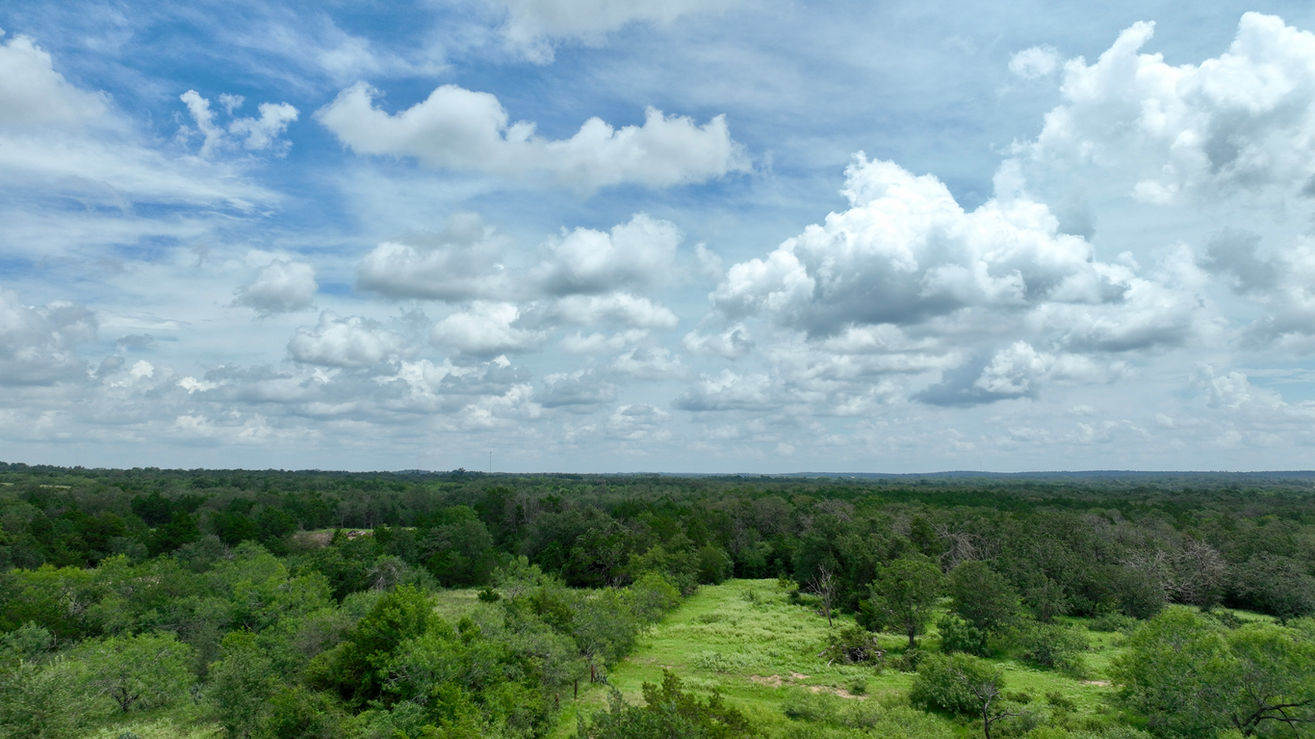 Expansive green land with trees and clouds at Camp Swift, Bastrop, TX