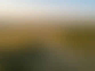 Your Guide to Land For Sale Near Blanco, TX