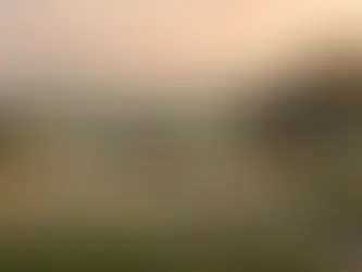 How to Find Land and a Mobile Home for Sale in Leander