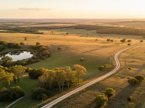 The Buyer's Guide to Land for Sale Near Giddings, TX