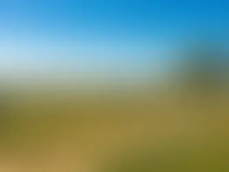 How to Find Land with No Restrictions: A Simple Guide