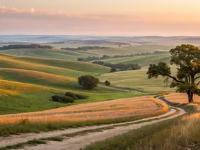 Buyer's Guide: Ranch Land for Sale in Texas Hill Country