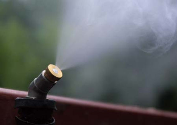 single mist