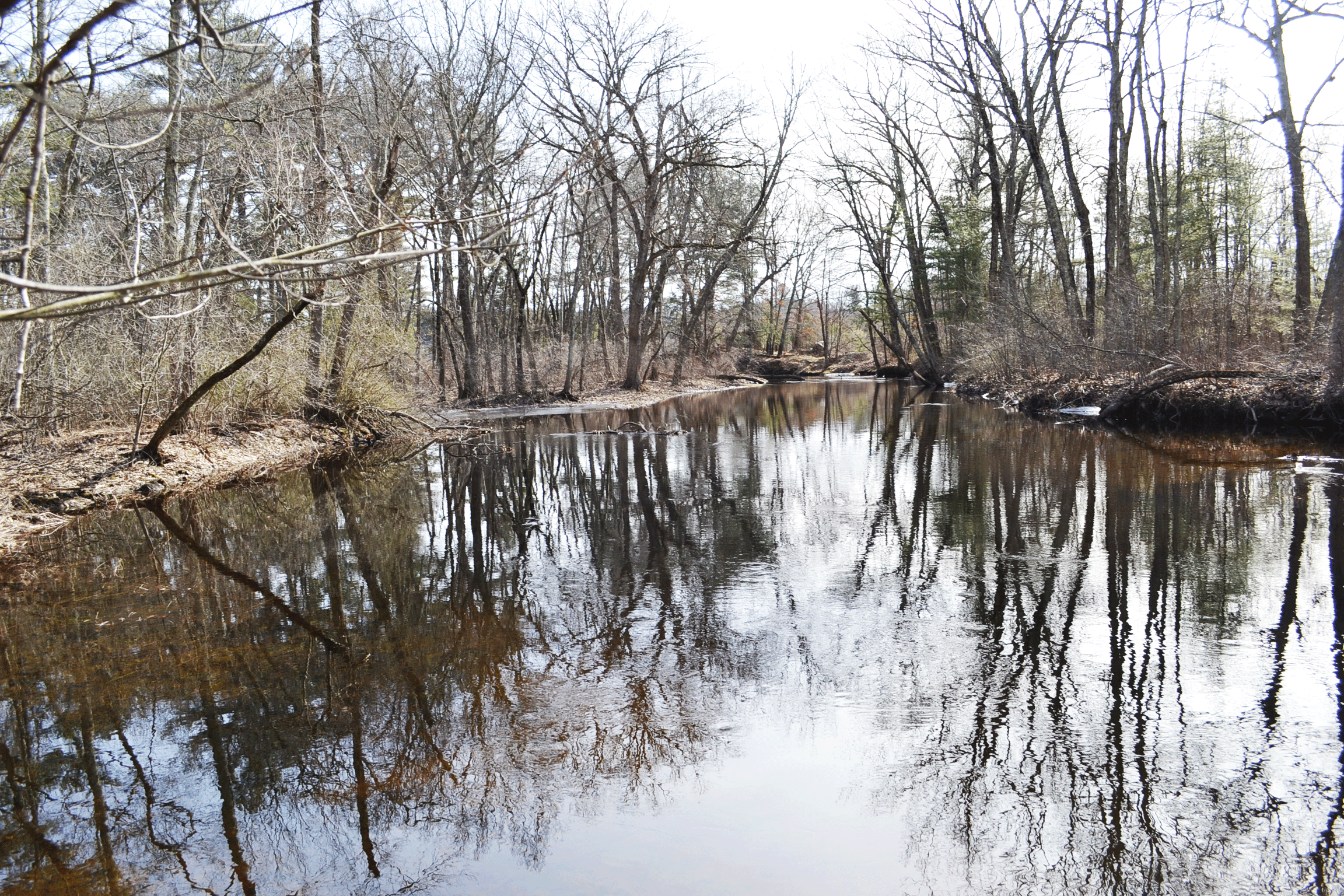 beaver-brook.gif