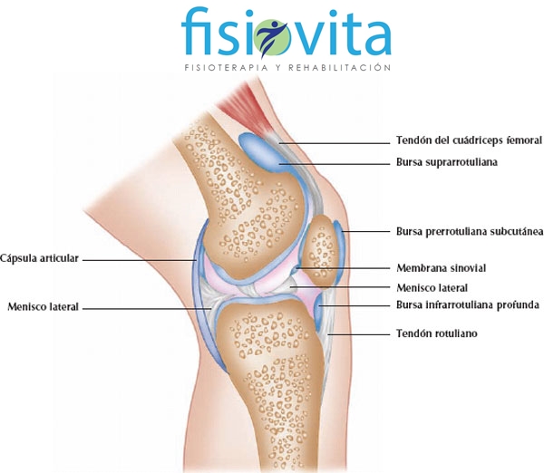De rodilla fisioterapia bursitis