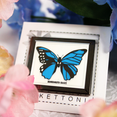 butterfly1.png