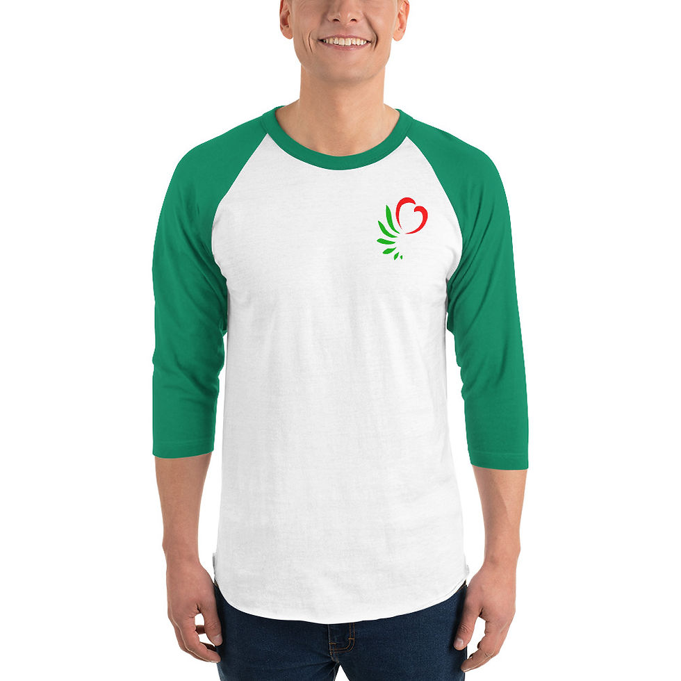 Thumbnail: Unisex 3/4 Sleeve Raglan Shirt | Tultex 245